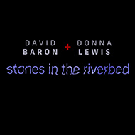 Donna Lewis David Baron Stones In The Riverbed